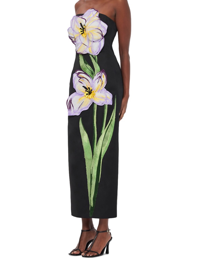 chinese dress ladies Rayna Appliqu Bustier Maxi Dress