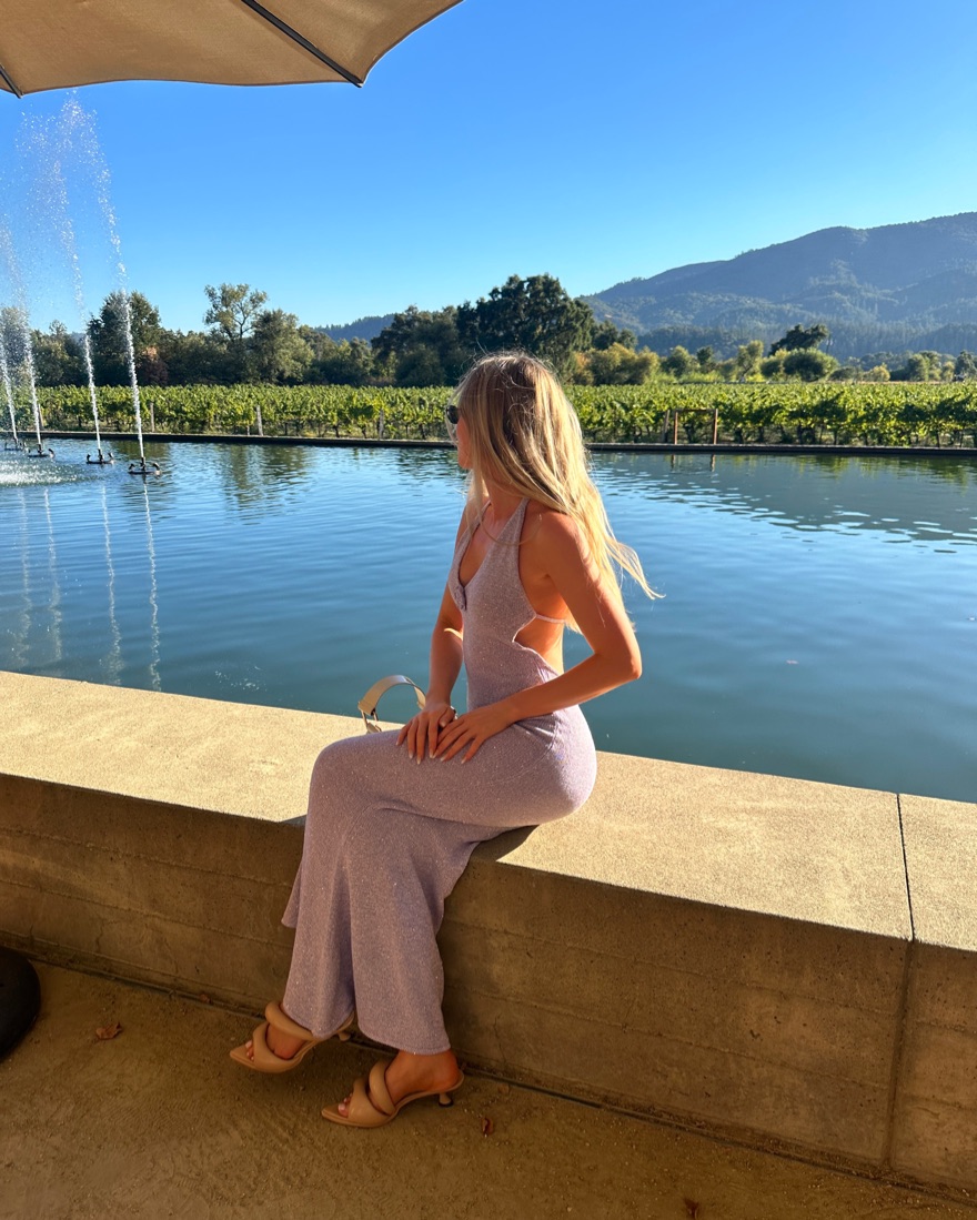 Daphne Dress In Lavender Sequin by Asta Resort - Pickle