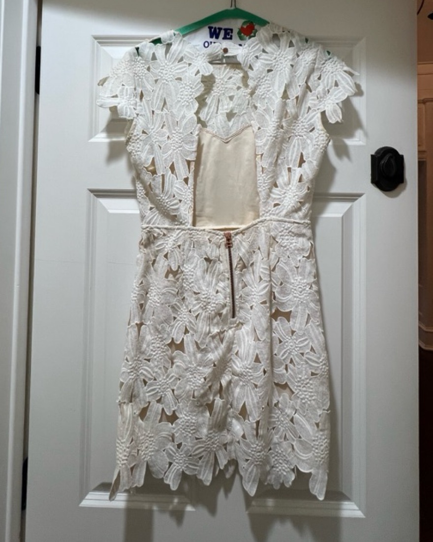 Dolce Vita Jayleen Floral Lace Dress by Dolce Vita - Pickle