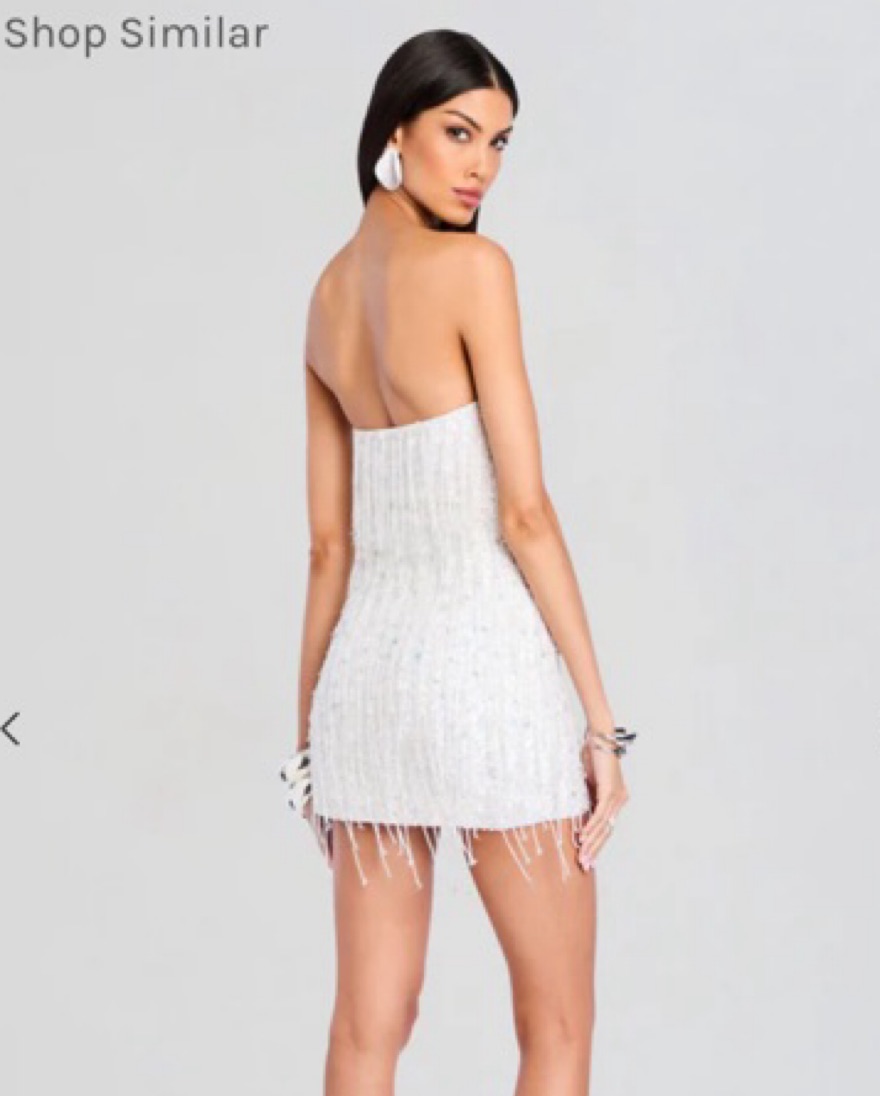 Retrofete Bachelorette Sequin Dress - Image 5