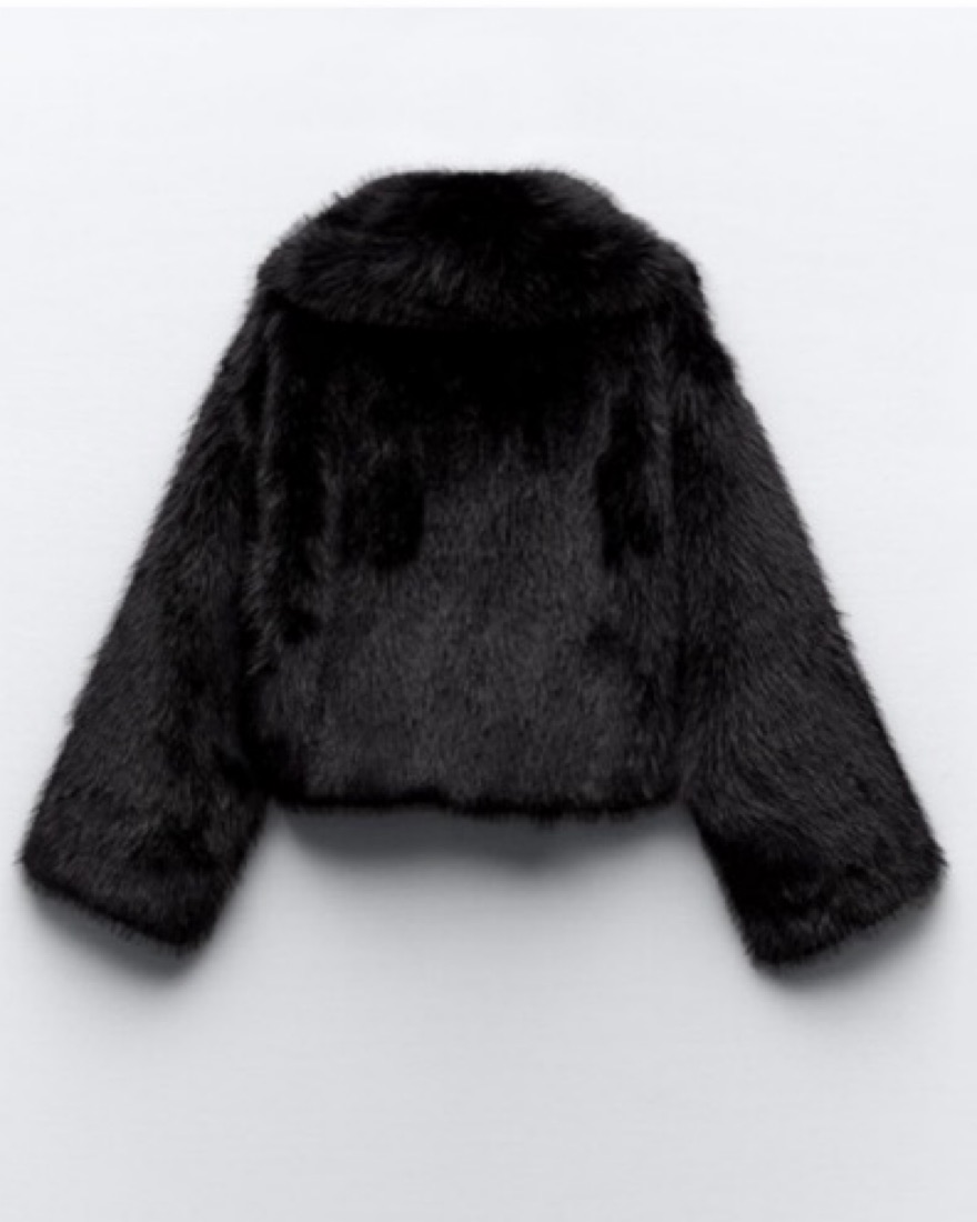 Zara Fur Coat - Image 2