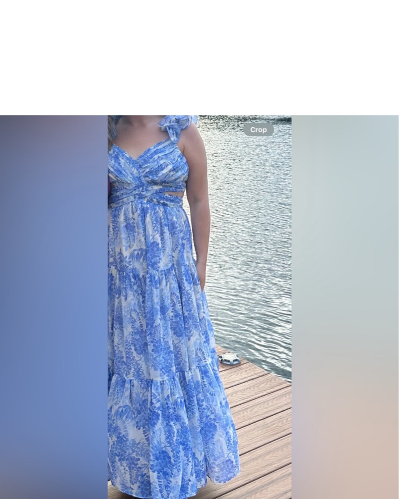 chinese dress ladies ASTR the Label :: Fritillaria Floral Maxi Dress