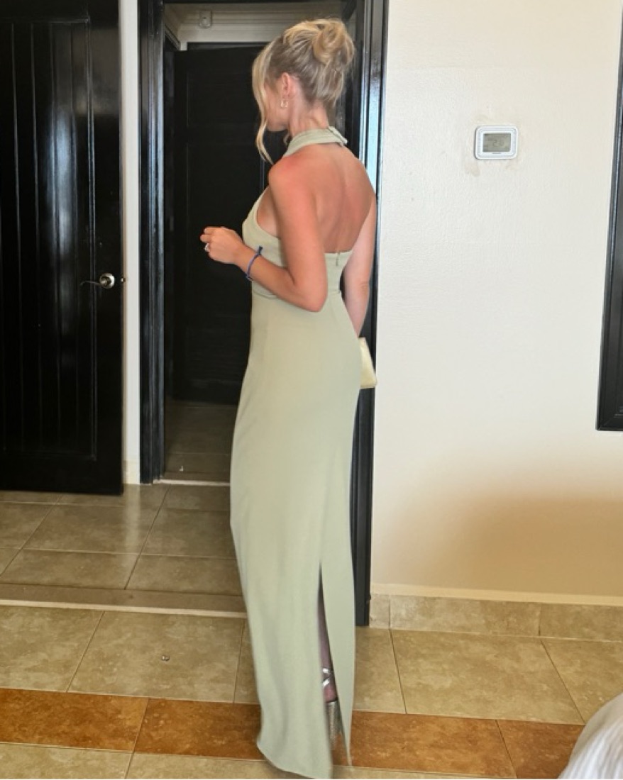 Ronny Kobo Lenox Gown by Ronny Kobo - Pickle