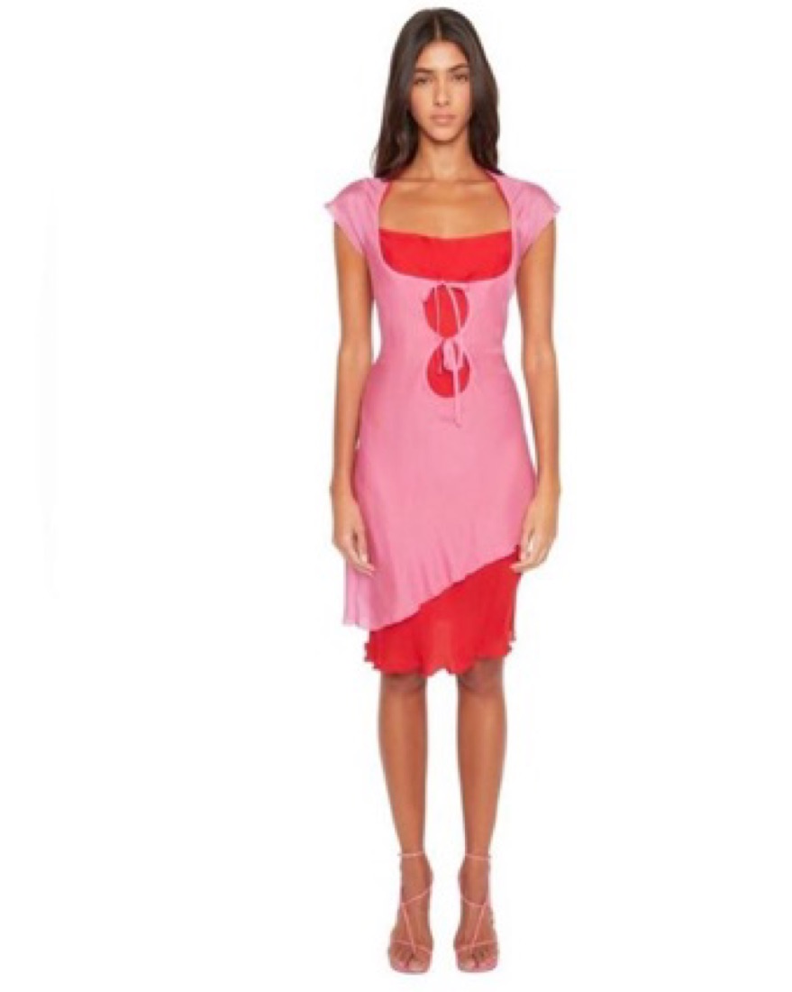 DANIELLE GUIZIO Silk Double Layer Dress by Danielle Guizio - Pickle