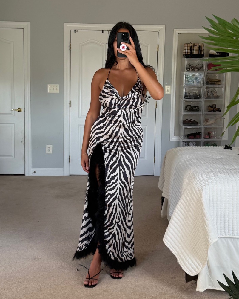 Runaway The Label Zebra Vanya Dress by RUNAWAY the Label - Pickle