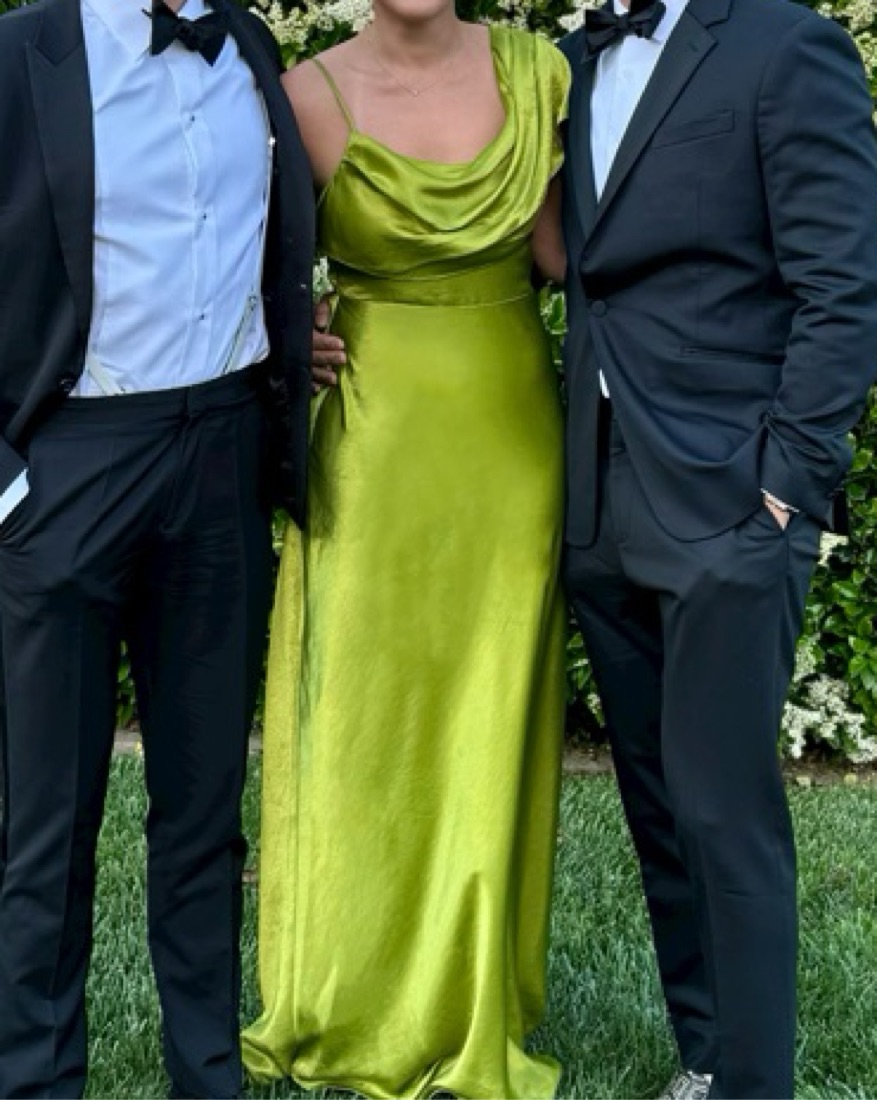 Antonia Green Gown by House of Harlow - Pickle