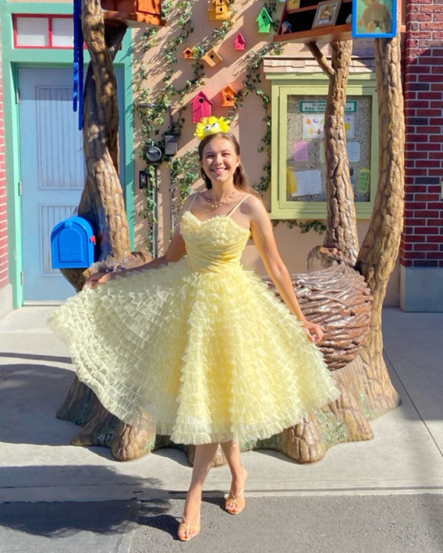 Cupcake Swing Dress - Image 1