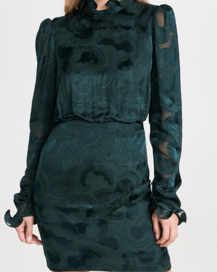 Saloni Rina-B Dress - Image 4