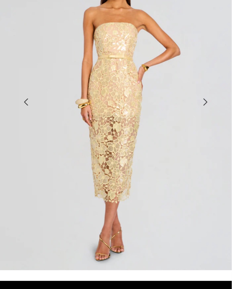 chinese dress ladies Retrofête Women's Rowena Lace Dress - Yuzu