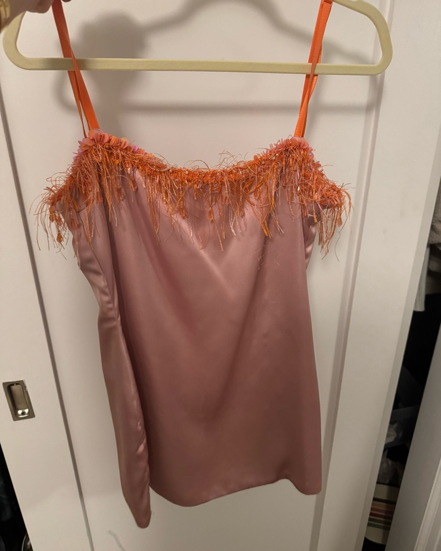 Pink Danielle Guizio Beaded Mini Dress by Danielle Guizio - Pickle