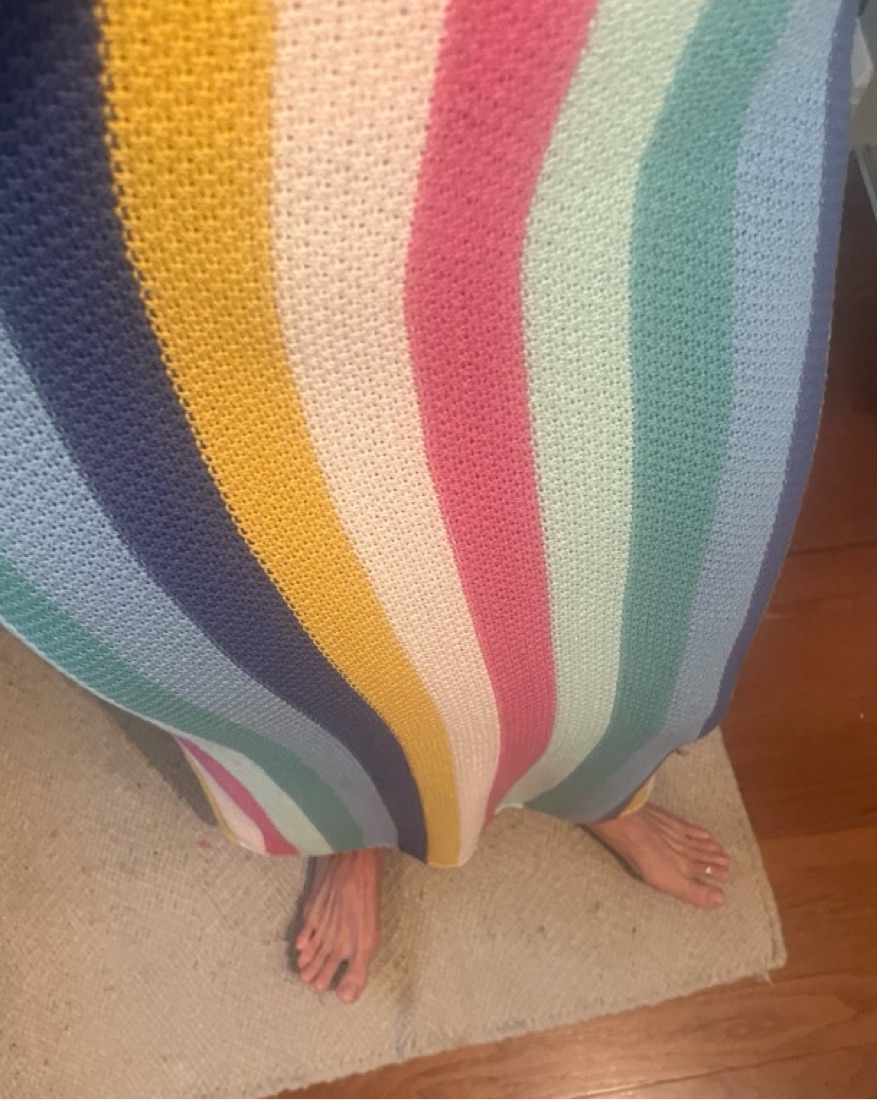 Z Supply Rainbow Striped Maxi Skirt - Image 4