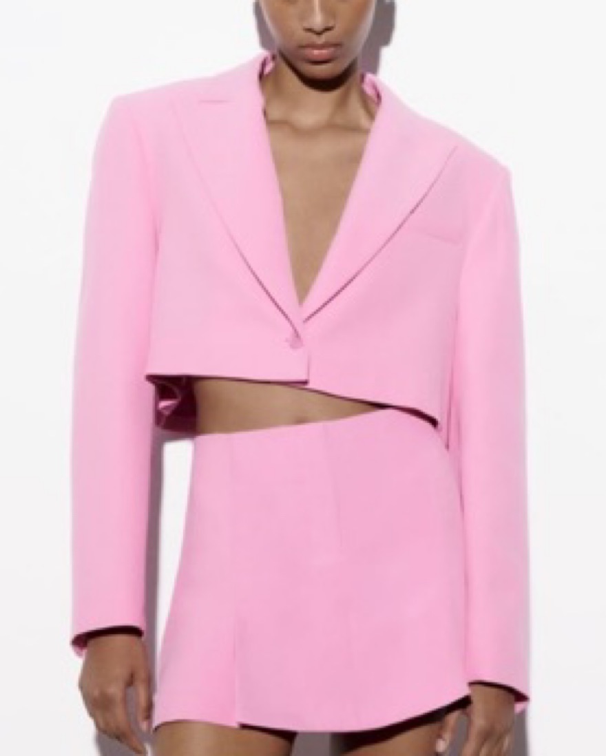 Pink Cropped Blazer Pickle