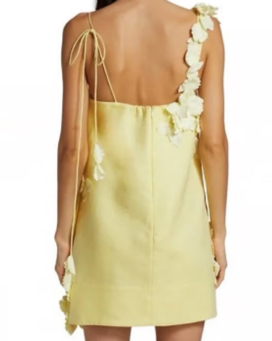 knee length dresses for ladies Zimmermann Ascension Mini Dress