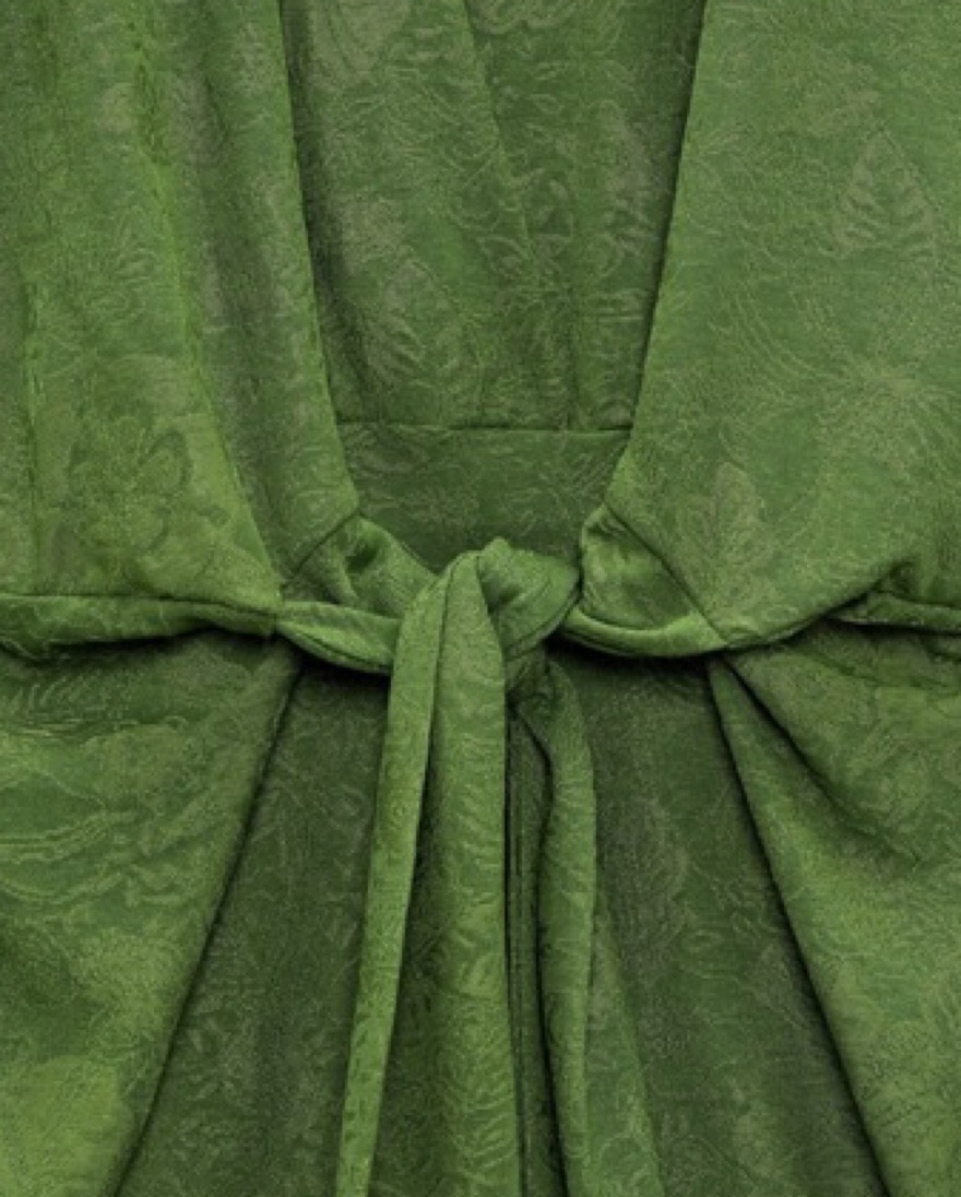 zara green jacquard dress Aurelia Long Sleeve Ballerina Dress – Green main image 0