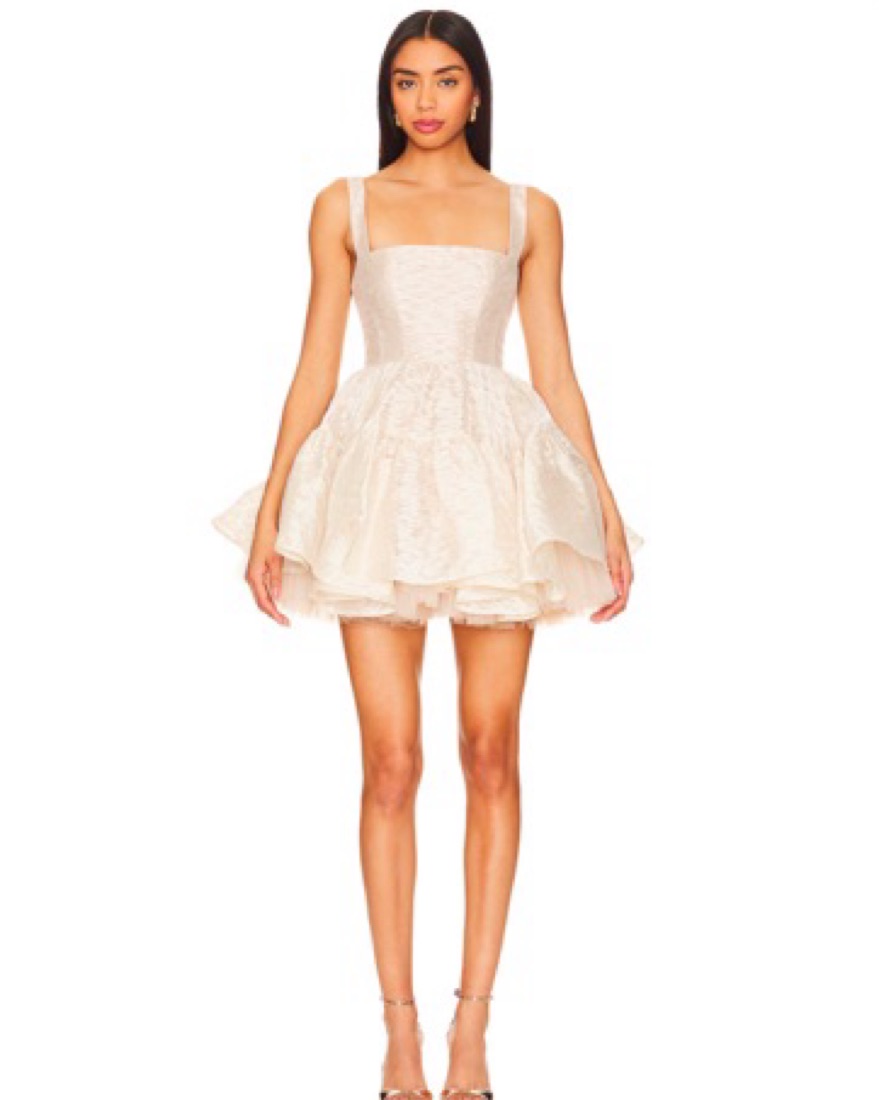 knee length dresses for ladies LAMARQUE Bahira Mini Dress Long Sleeve In Midnight main image 0