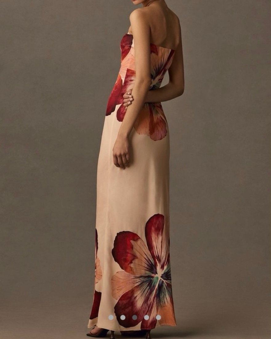 Anthropologie Fleur Strapless Maxi Dress by Anthropologie - Pickle
