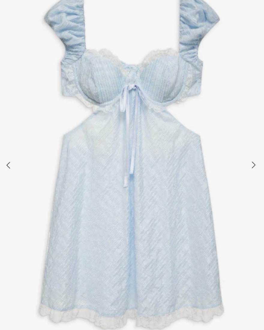 knee length dresses for ladies Francine Mini Dress by For Love & Lemons  Cattivo