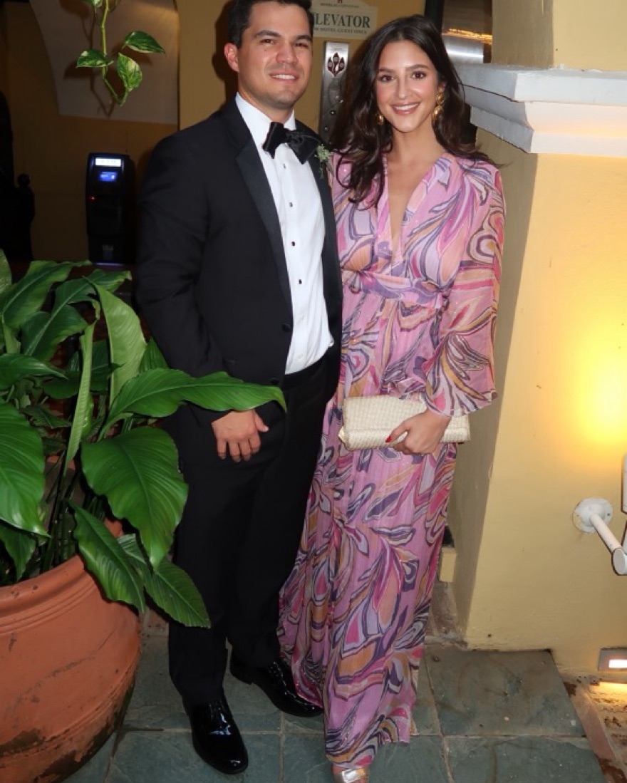 Alexis Sydney Dress - Image 4