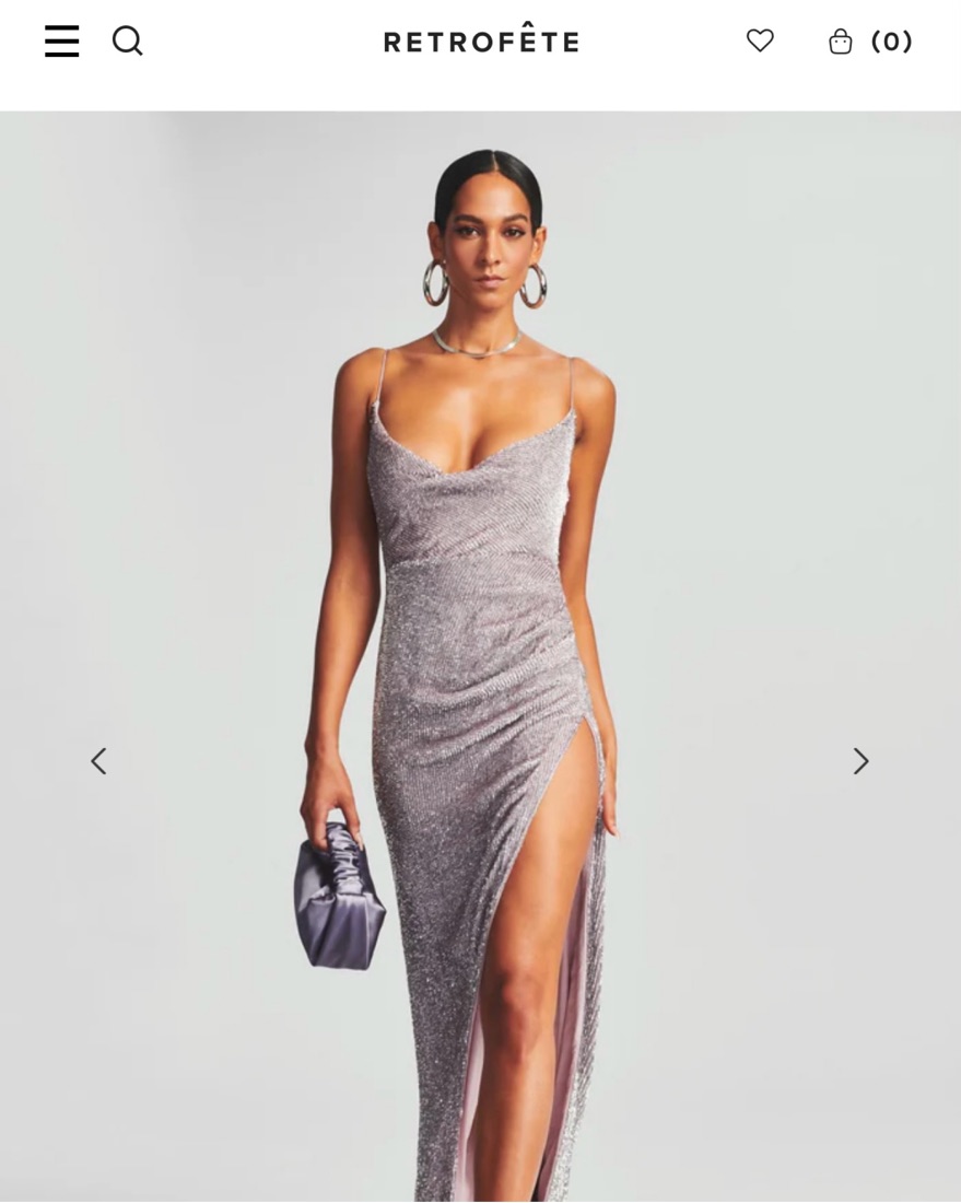 Retrofete Katya Silver Dress  - Image 3