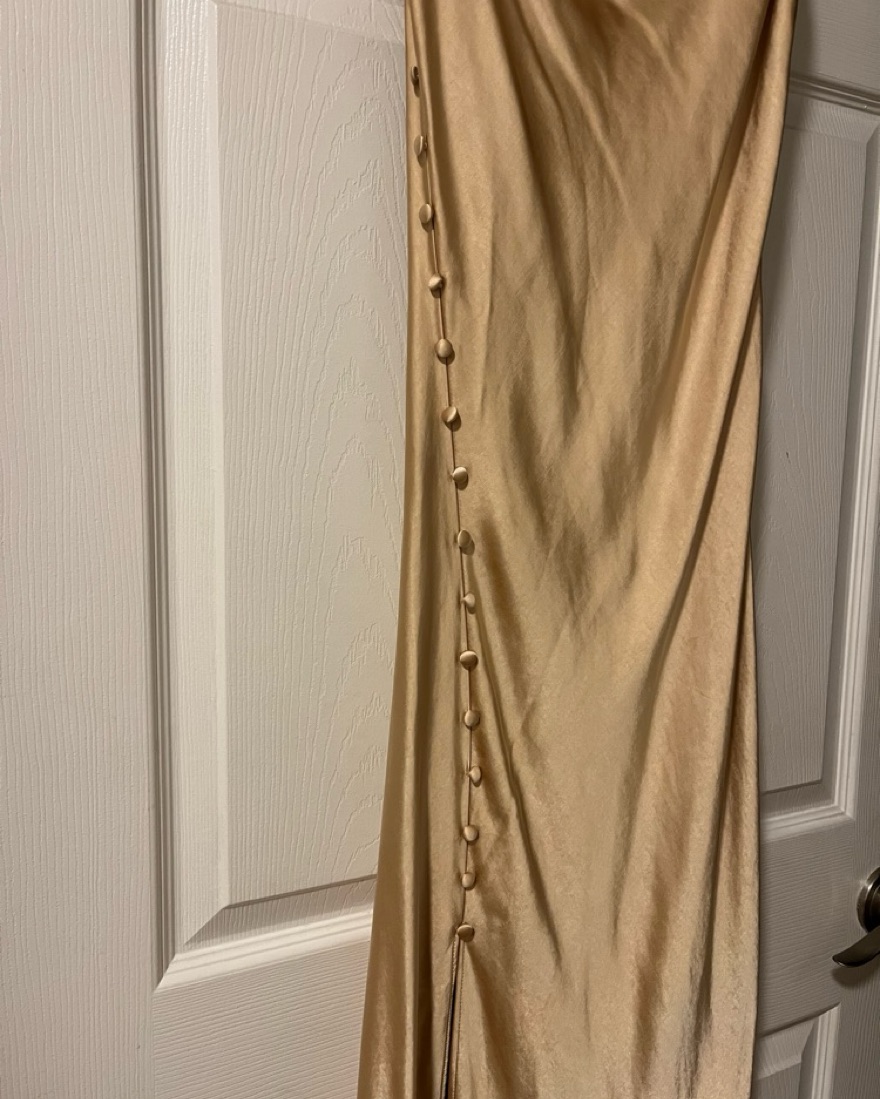 Gold Cowl Neck Dress with Slip - Image 4