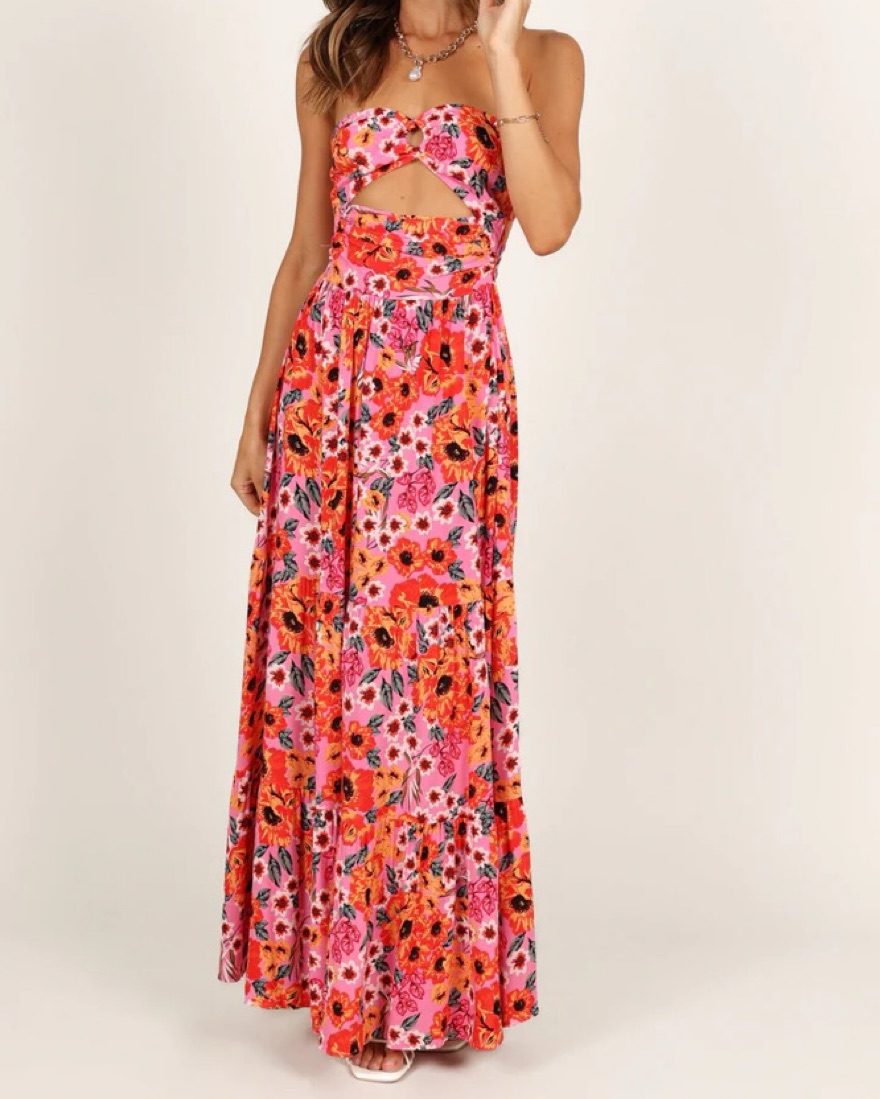 knee length dresses for ladies Petal and Pup Women's Mila Halterneck Maxi Dress