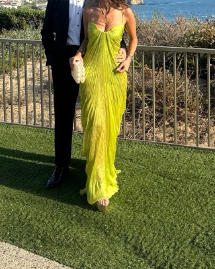 Maria Lucia Hohan Victoria Dress - Image 3