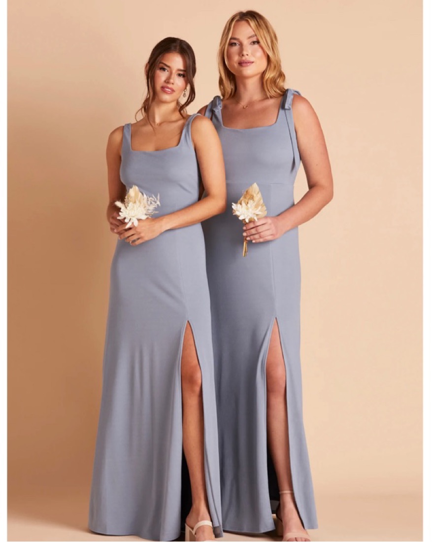  Birdy Grey Blue Dress NWT - Image 1