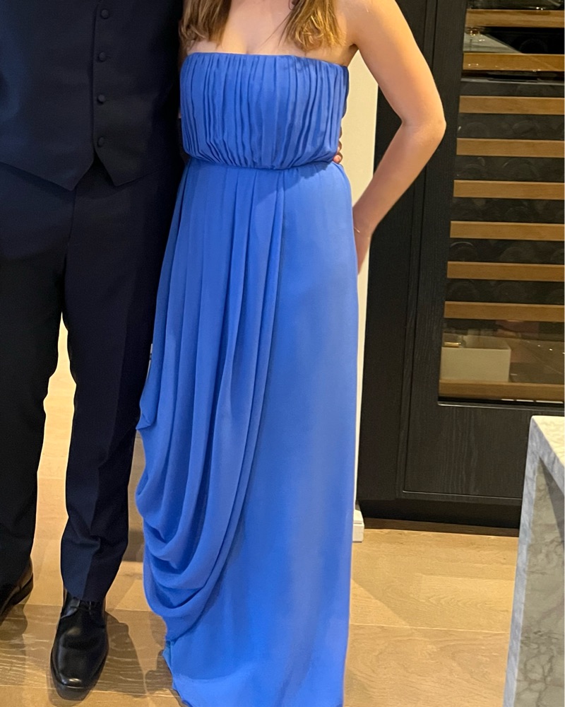 alice and olivia blue silk dress Alice & Olivia