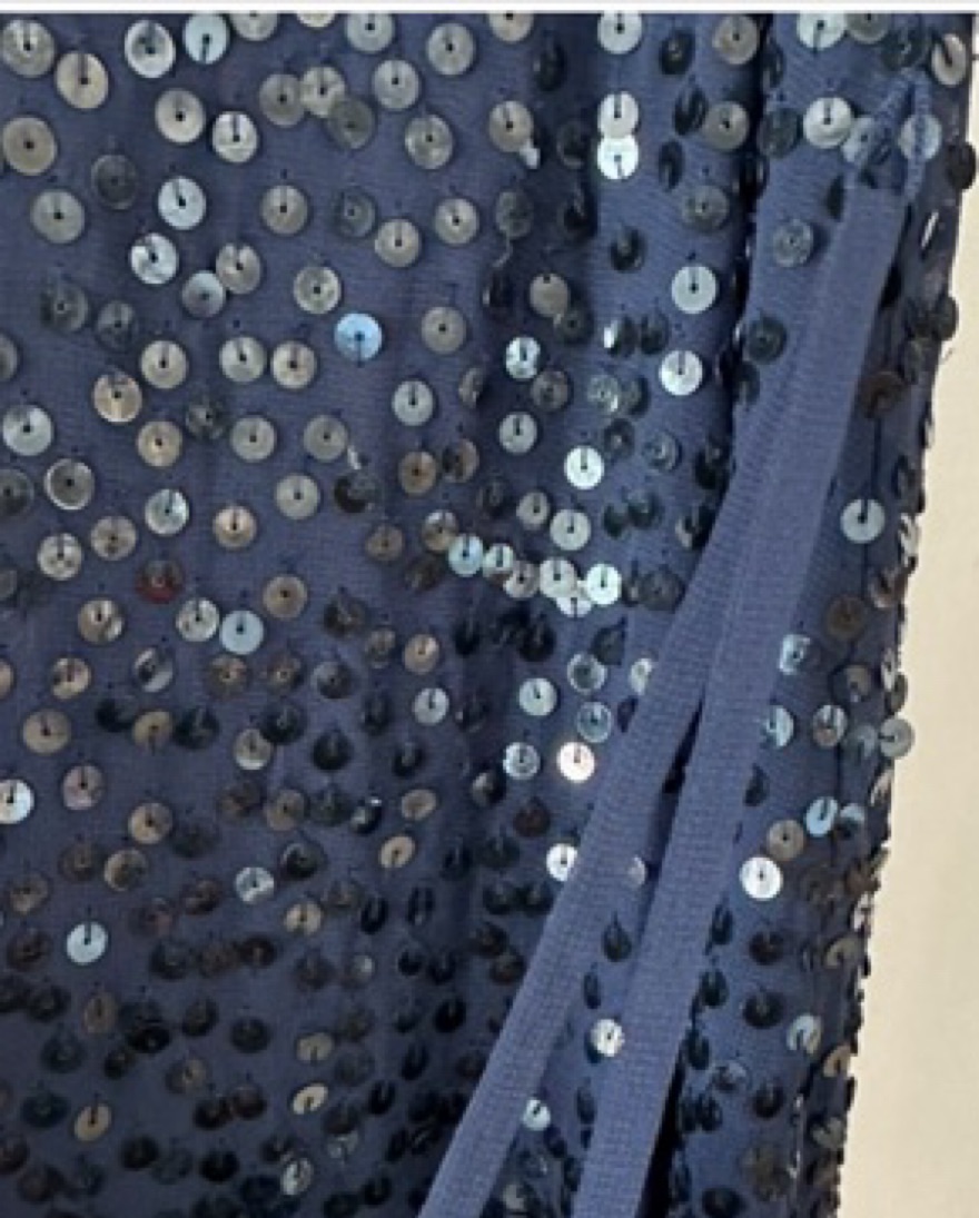 Stunning Navy Sequin Maxi Dress - Image 3