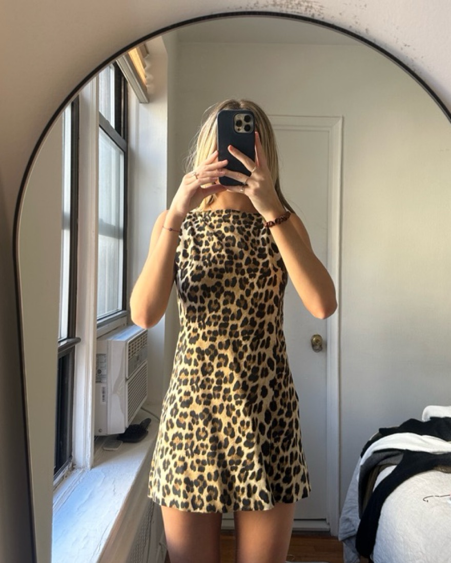 Zara Leopard/cheetah Dress by Zara - Pickle