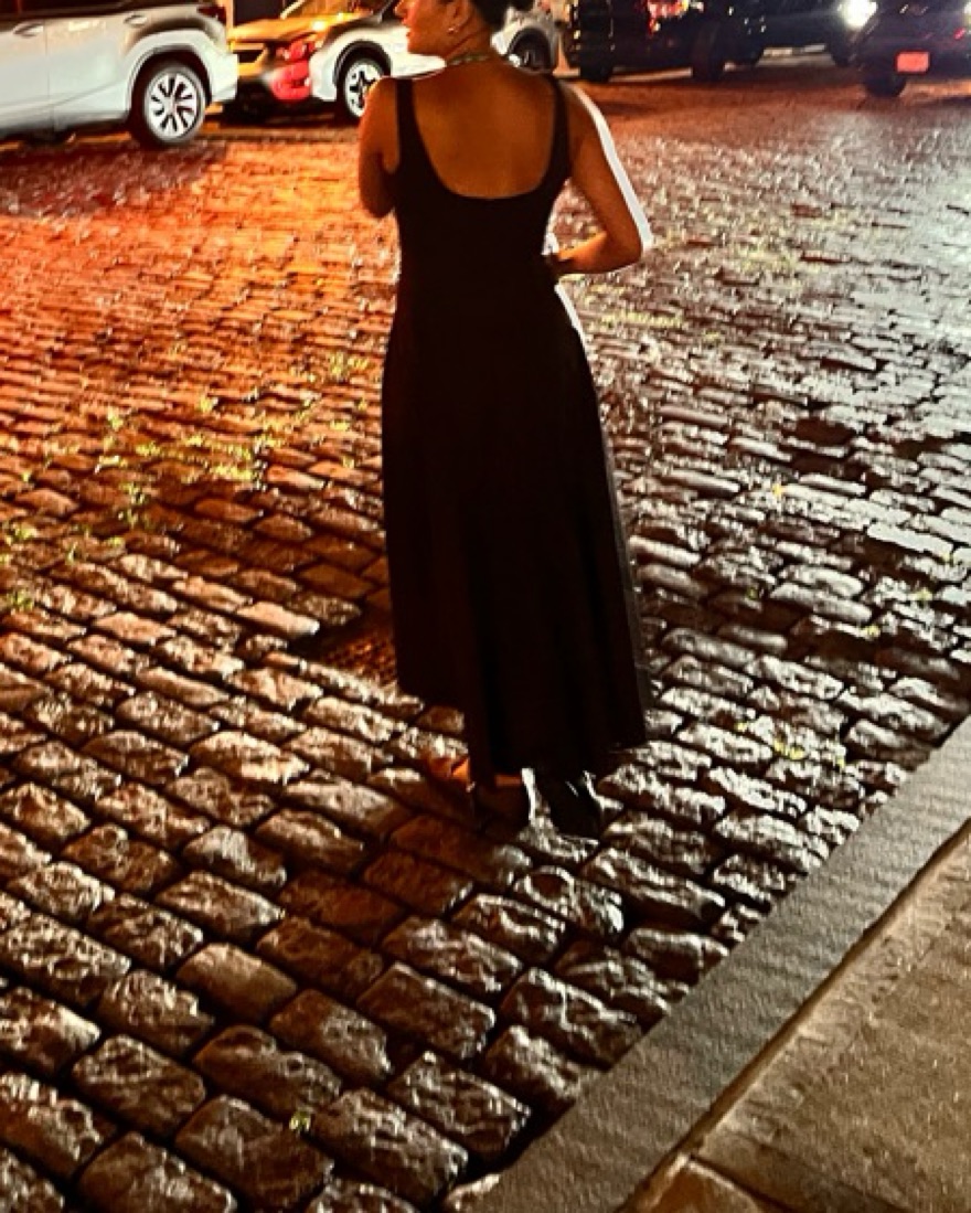 Staud Brown Wells Dress by Staud - Pickle