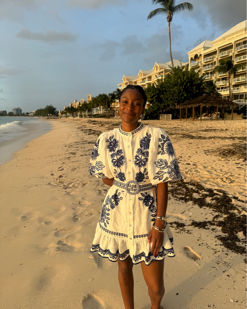 sachin and babi light blue dress Farm Rio Blue And White Linen Dress by Farm Rio