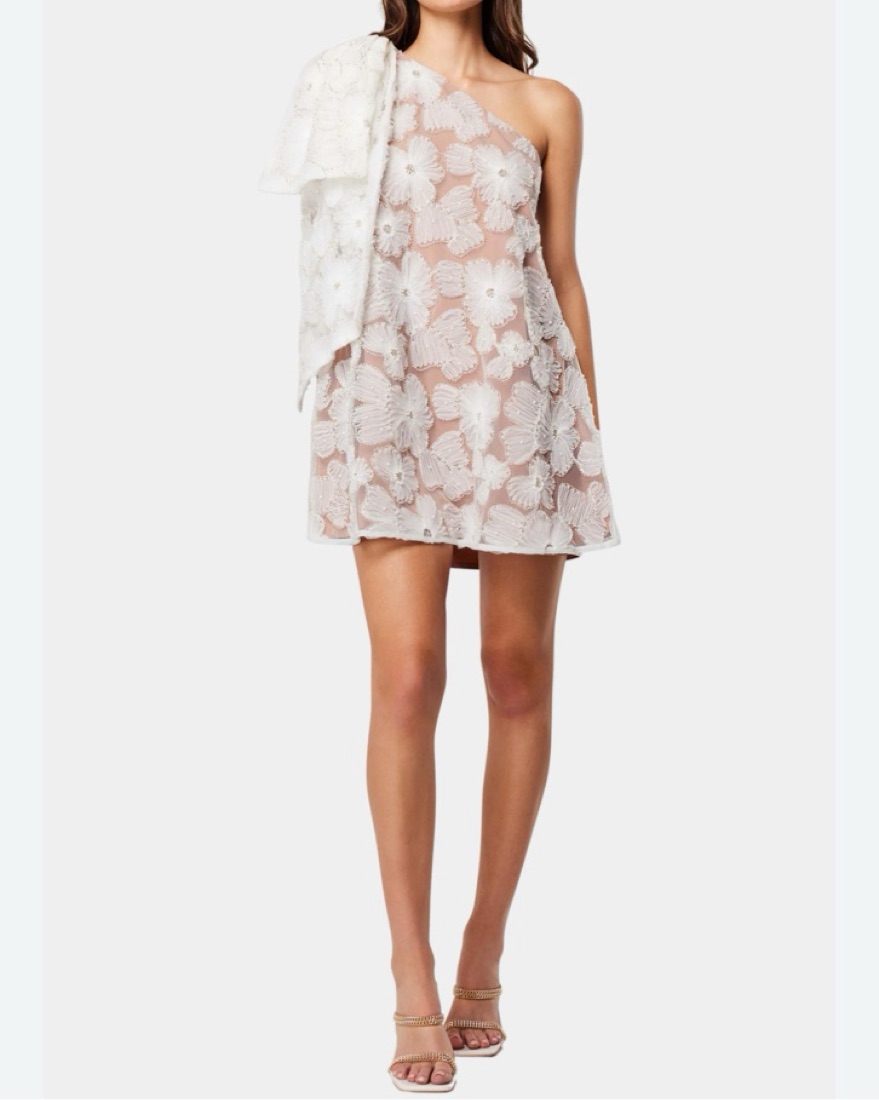 knee length dresses for ladies Briar Lace Mini Dress - Cream
