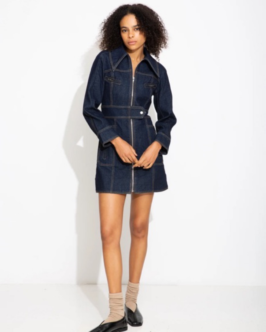 Peche Denim Long Sleeve Mini Dress by Reformation - Pickle