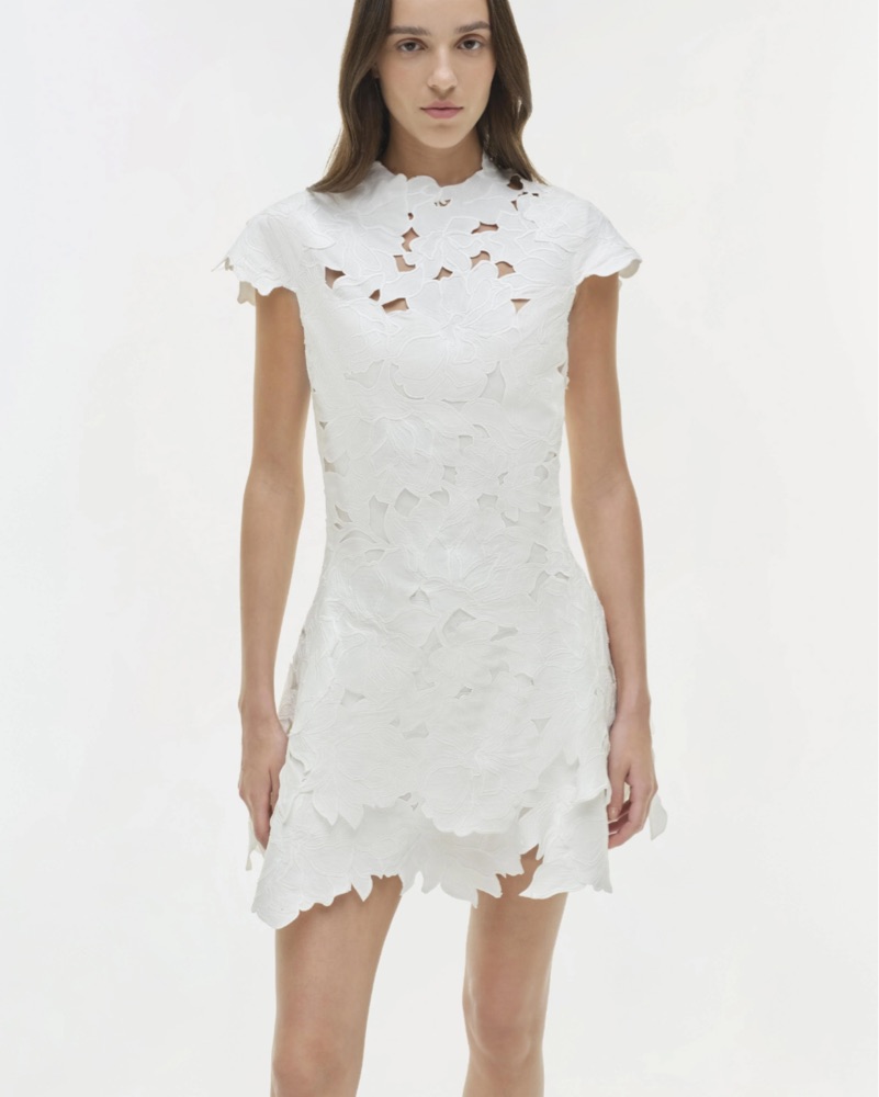 Simkhai Holloway Embroidered Mini Dressi by Jonathan Simkhai - Pickle