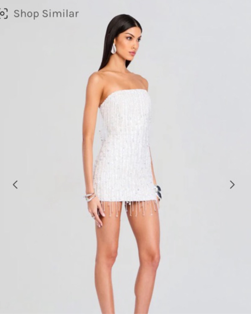 Retrofete Bachelorette Sequin Dress - Image 3