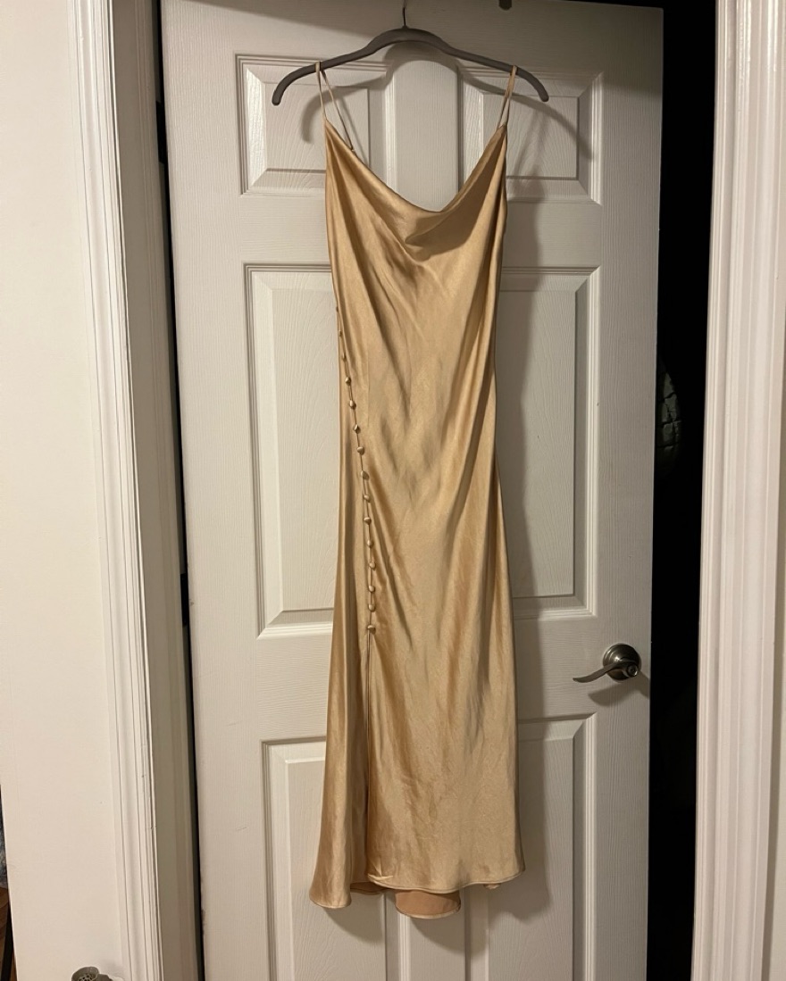 Gold Cowl Neck Dress with Slip - Image 3