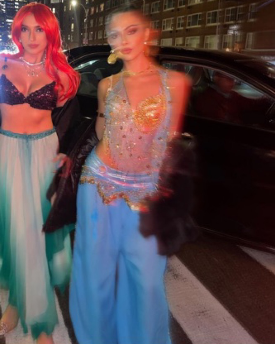 Jasmine costume  - Image 4