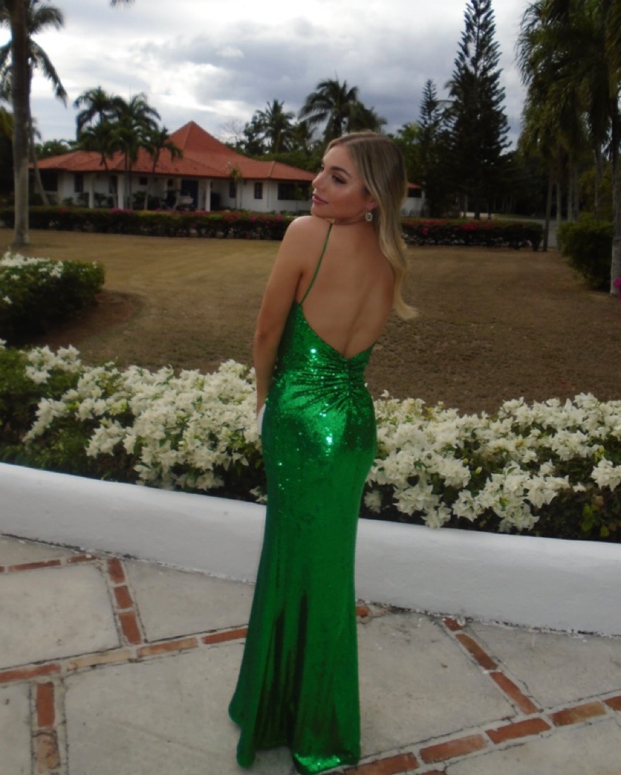 slim fit dress slacks Kiara Sequin V-Neck Gown