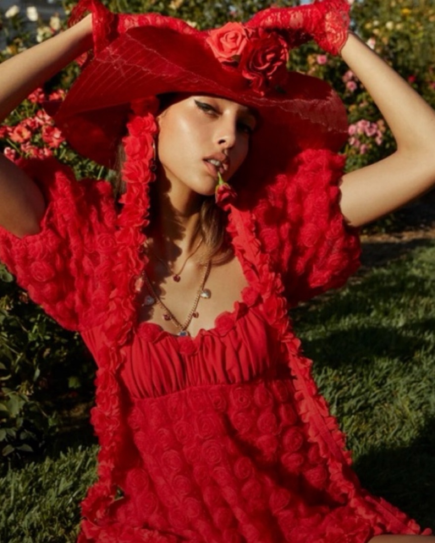 knee length dresses for ladies Plus Size For Love & Lemons Chiffon Rose Applique Mini Dress