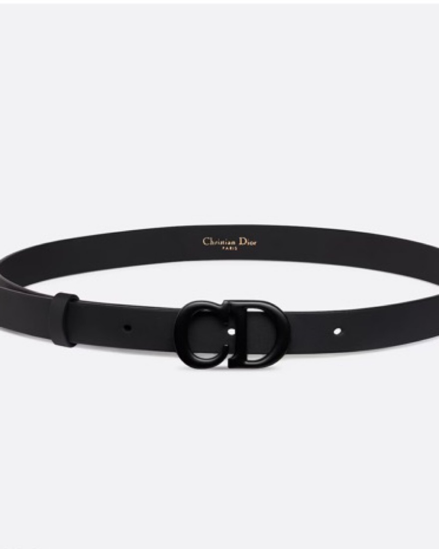 DIOR SADDLE BELT - Image 1