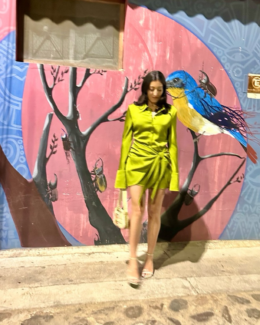Rat & Boa Green Alanis Dress by Rat & Boa - Pickle