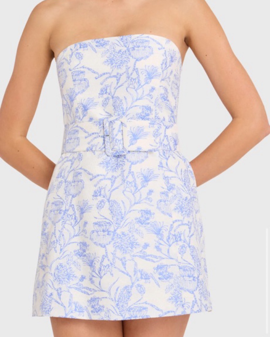 Amanda Uprichard Toile Strapless Mini by Amanda Uprichard - Pickle