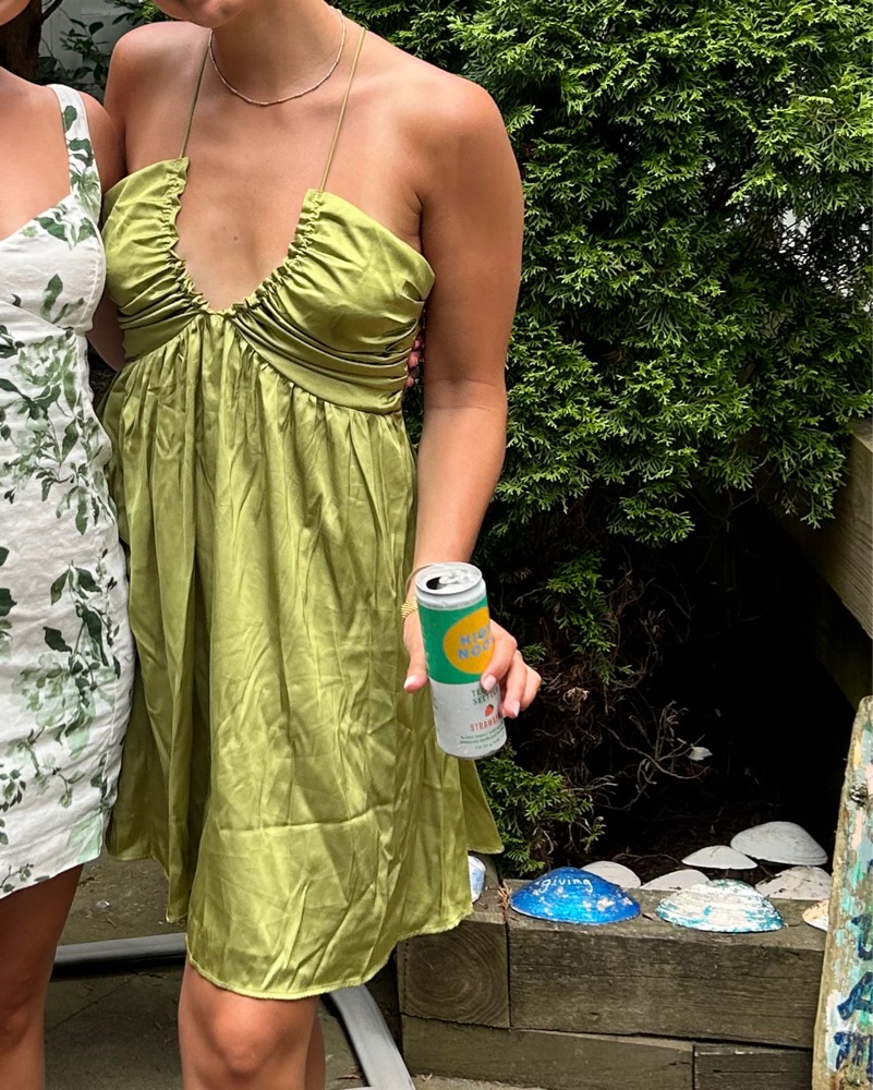 Abercrombie Dress - Image 2