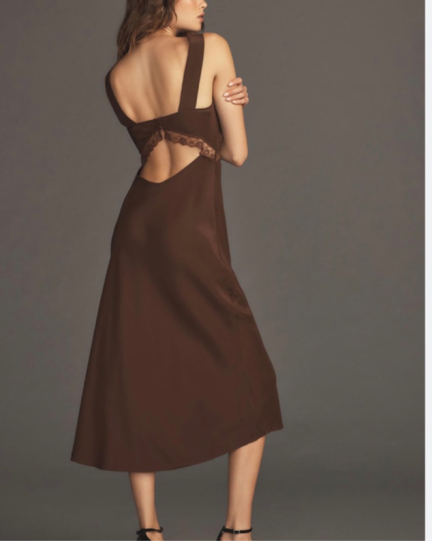 Reformation Brown Lace Detail Dress by Reformation - Pickle