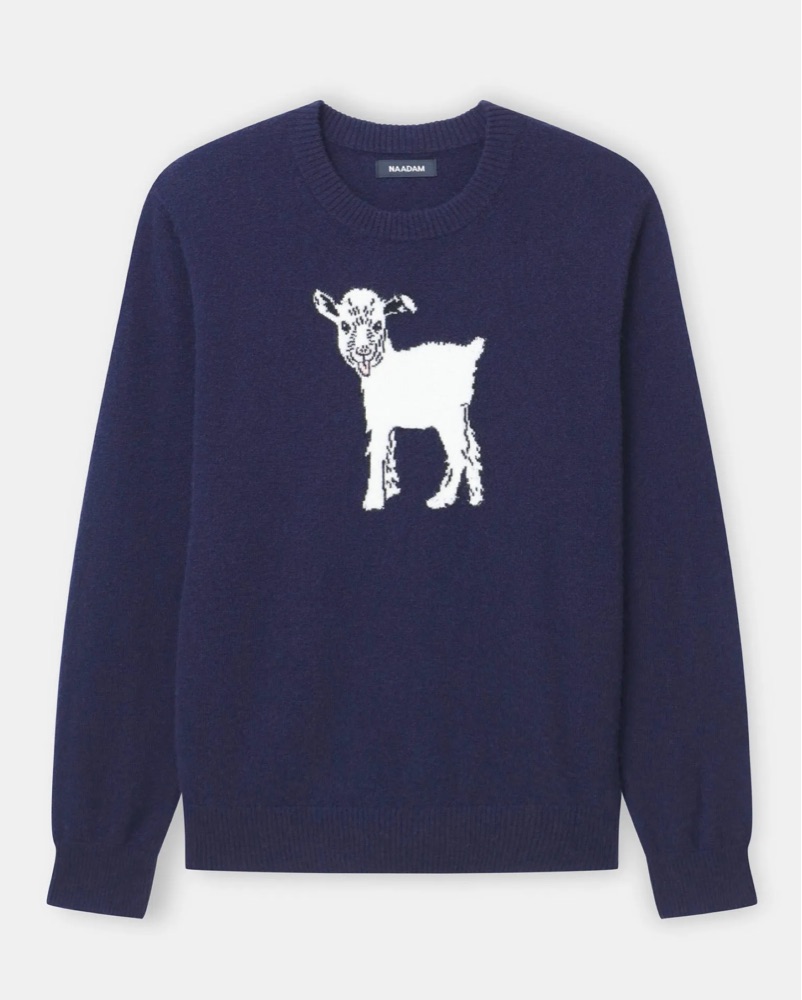Naadam Cashmere Goat Sweater - Image 1
