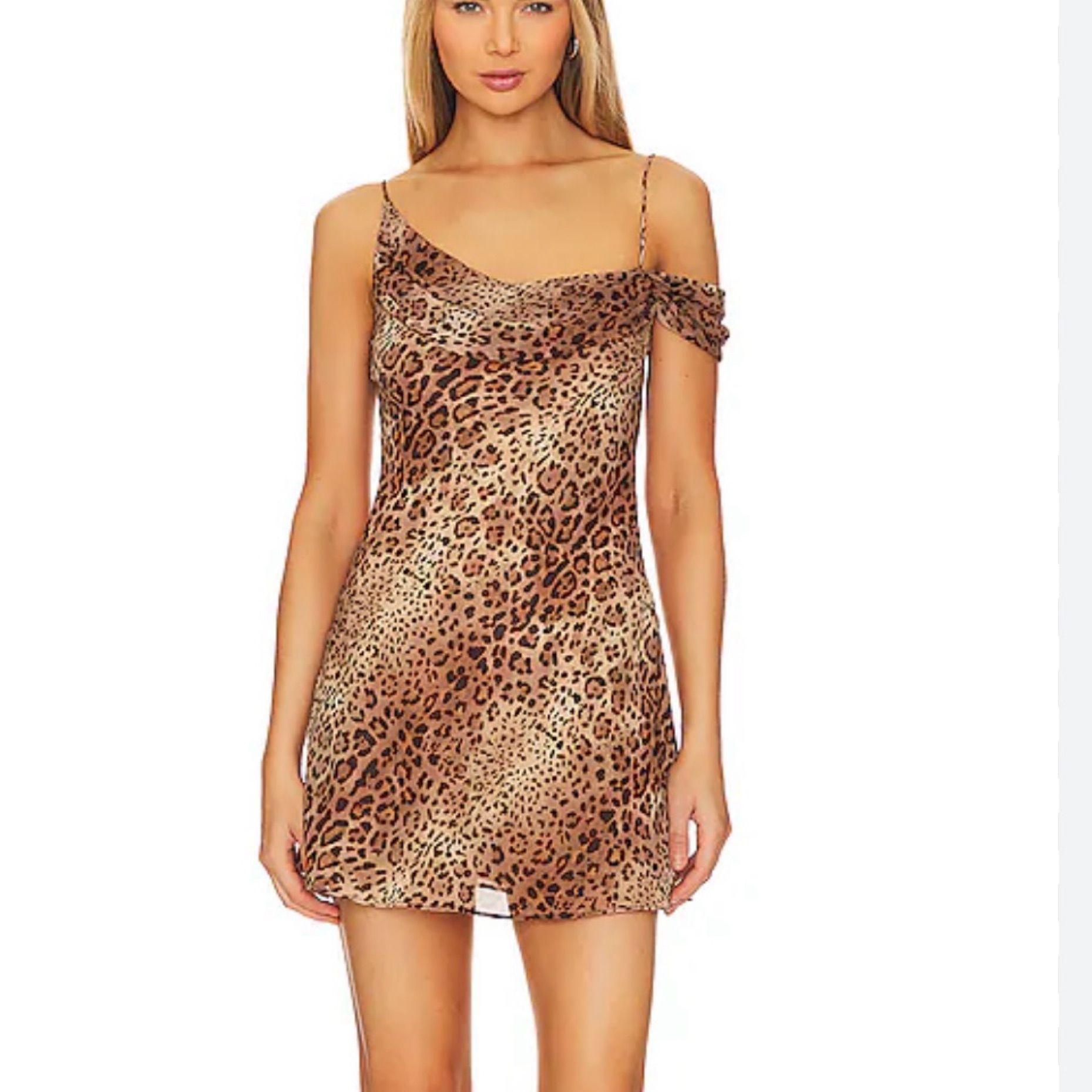 sachin and babi light blue dress Sid Cheetah Print Dress  Avocado On Rye