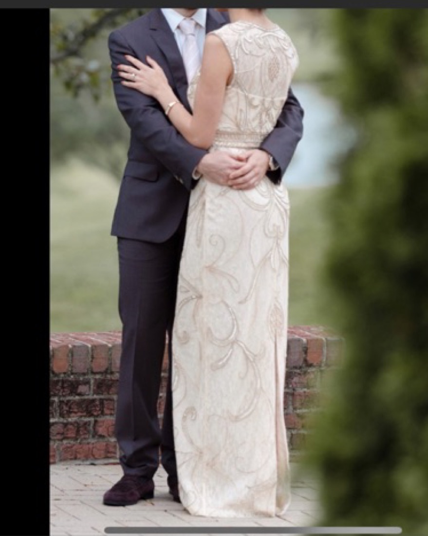 Sue Wong beaded Formal Dress  - Image 2