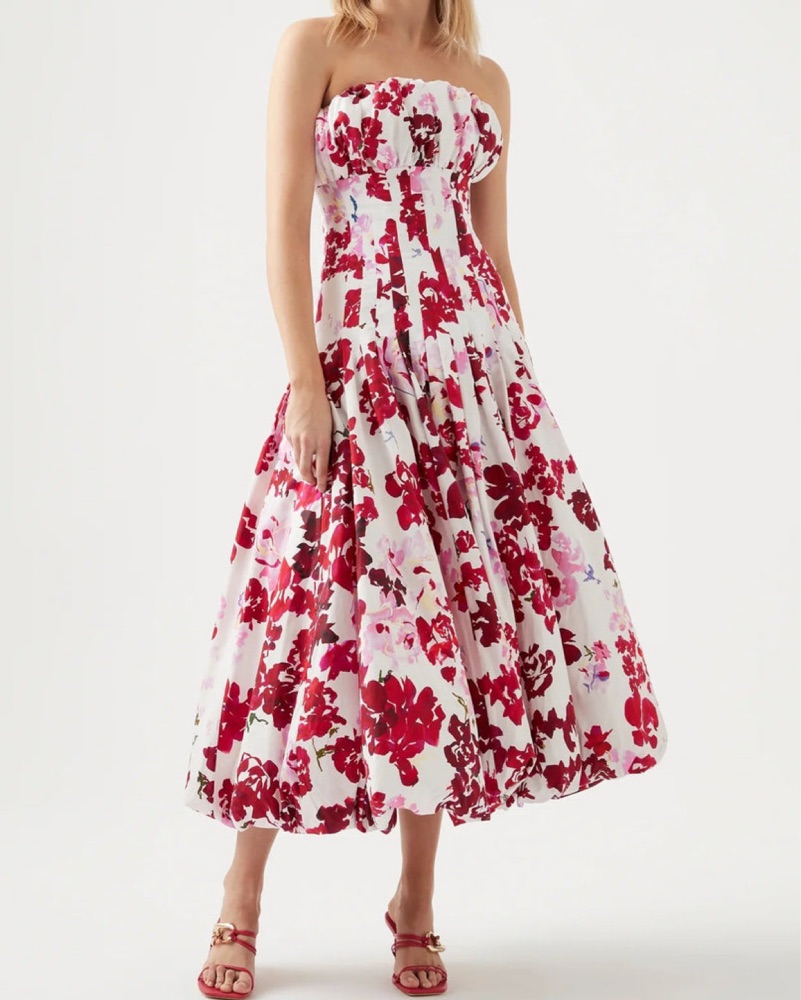 knee length dresses for ladies Exurbia Seamed Midi Dress-MEADOW BLOOMS / 4