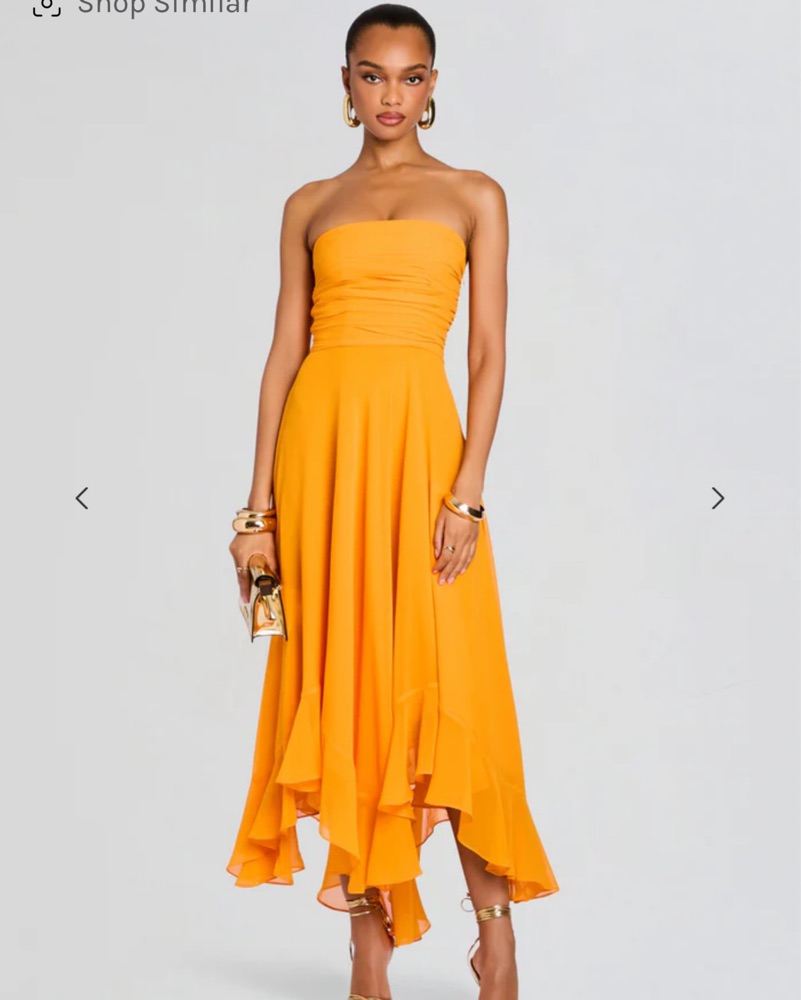 Retrofete Louisa Chiffon Dress by Retrofete - Pickle